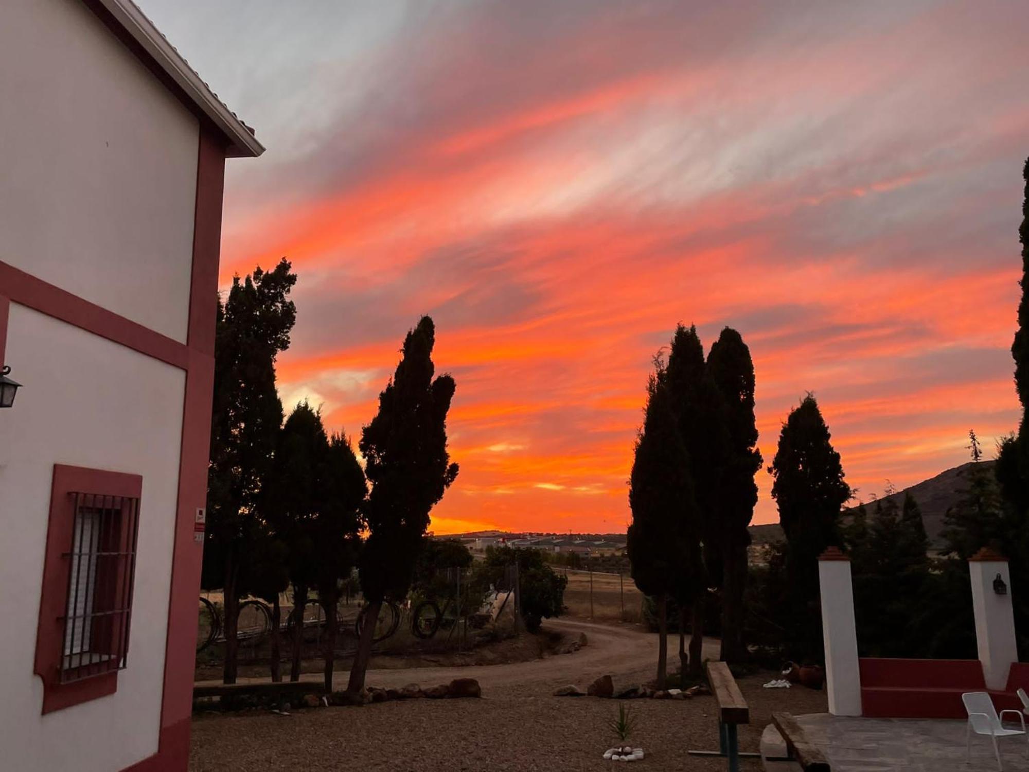 El Mirador Del Abuelo Pensionat Cabeza del Buey Exteriör bild